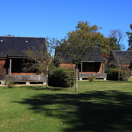Les Chalets De Mur De Sologne Mur-de-Sologne 외부 사진